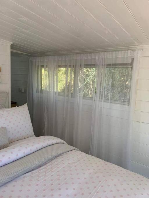 The Wandering Duck - Heritage Tiny House Strahan Exterior foto